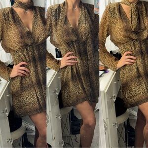 Zara Brown Leopard Long Sleeve Dress